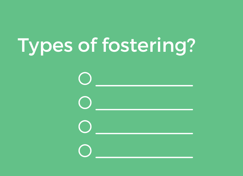 BSF Types Of Fostering image