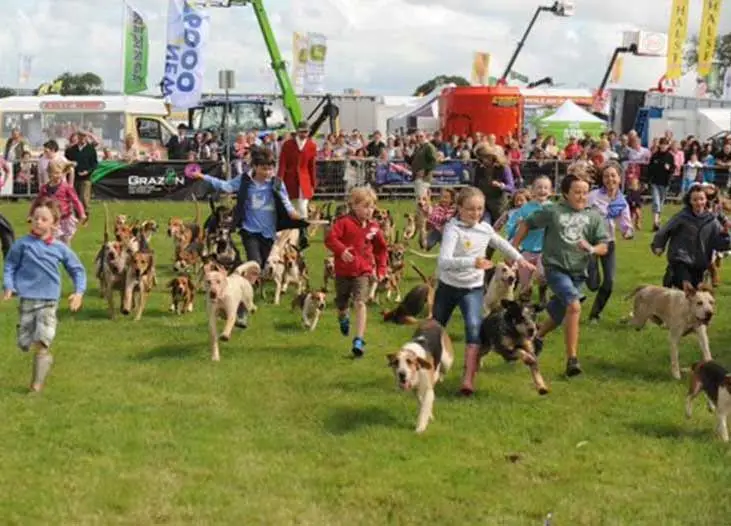 Honiton Agricultural Show 2025 Devon and Cornwall Events